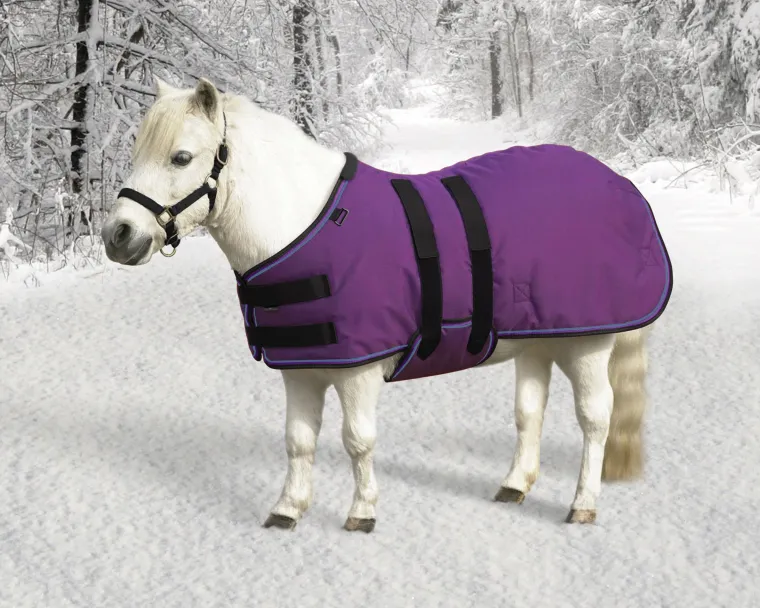 AiLINCuA_4.webp Discount KENSINGTON ™ Signature Mini Lightweight Turnout Blanket