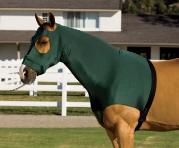 New INT RIDING HELMET Flex Rider® Stretchies™ Hood