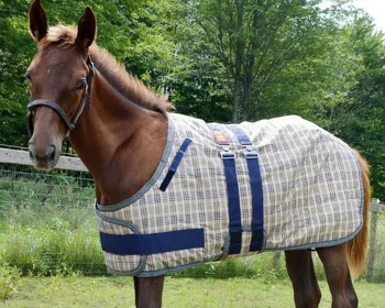 Discount JACKS MFG 5/A Baker® Expand-O-Blanket Turnout for Foal & Pony Baker Plaid
