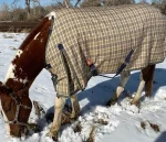 Sale JACKS MFG 5/A Baker® Extreme 555 Gram Turnout Blanket Baker Plaid