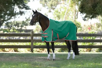 Outlet WEATHERBEETA ® ComFiTec™ Prelim Standard Neck Lite Turnout Dark Green/Red/White