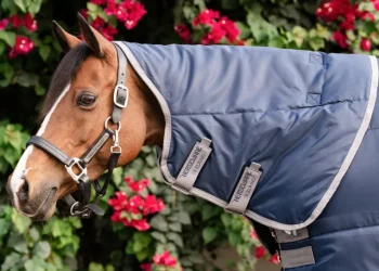 Outlet HORSEWARE ® Ireland Amigo® Ripstop Insulator Stable Pony Plus Blanket - 200G Navy/Titanium Grey