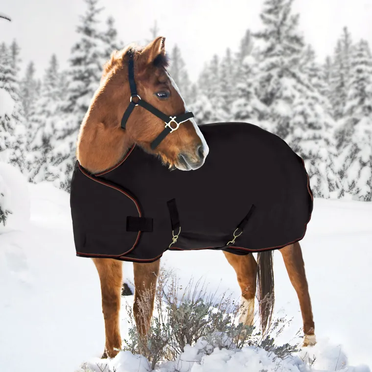 DXfyVDSN_0.webp Online KENSINGTON ™ Signature Adjustable Yearling Turnout Blanket