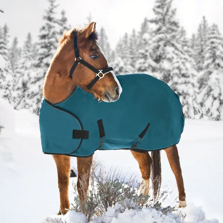 DXfyVDSN_2.webp Online KENSINGTON ™ Signature Adjustable Yearling Turnout Blanket