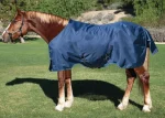 New KENSINGTON ™ XL Signature Medium-Weight Turnout Blanket