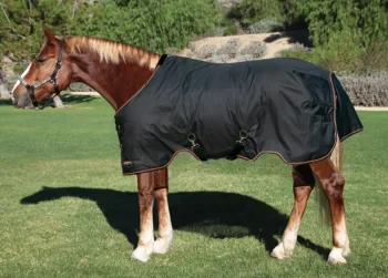New KENSINGTON ™ XL Signature Medium-Weight Turnout Blanket