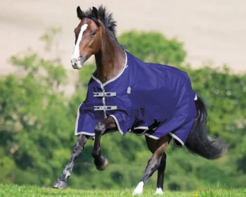 Clearance SHIRES EQUESTRIAN Shires Highlander Lite Turnout Sheet