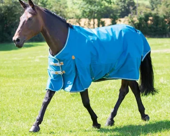 Clearance SHIRES EQUESTRIAN Shires Highlander Lite Turnout Sheet