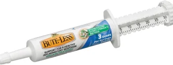Outlet ANIMAL HEALTH INT Absorbine® Bute-Less® Comfort & Recovery Supplement Paste