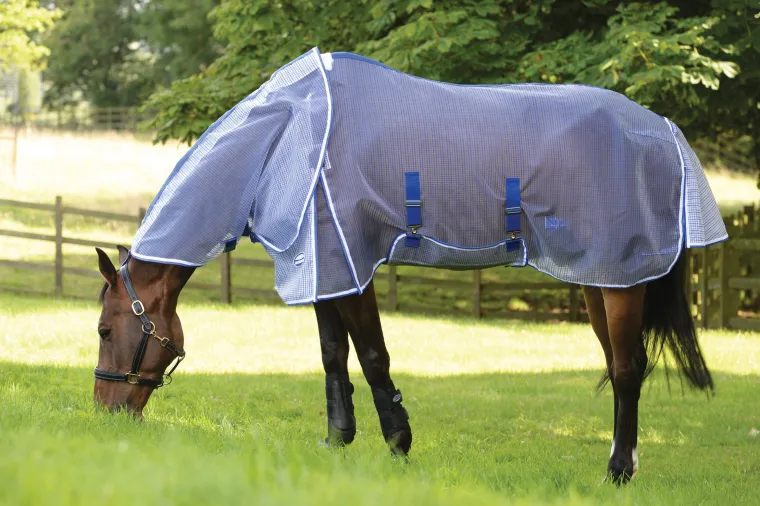EWvWvMpH_5.webp Clearance WEATHERBEETA ® ComFiTec™ Ripshield Detach-A-Neck Fly Sheet