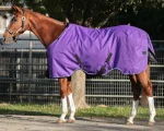 Hot KENSINGTON ™ Signature Lightweight Turnout Blanket