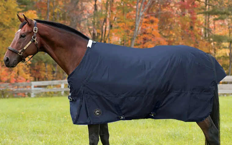 GjAmvFJt_2.webp New CWEAR BRANCH Rider’s International™ Supreme Medium-Weight Turnout Blanket
