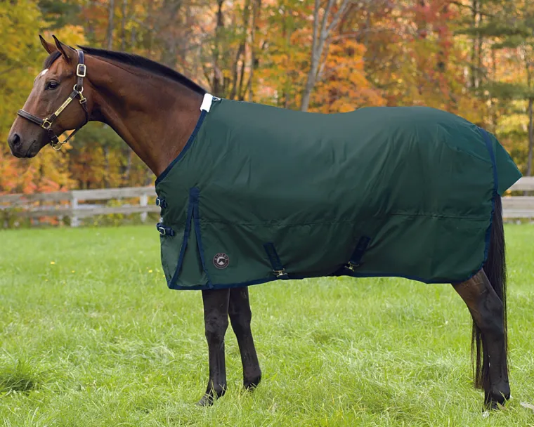 GjAmvFJt_3.webp New CWEAR BRANCH Rider’s International™ Supreme Medium-Weight Turnout Blanket