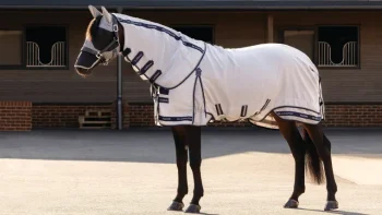 Best HORSE HEALTH TRADE LeMieux® Kudos Gladiator Fly Sheet Silver