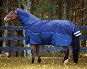 Discount CWEAR BRANCH NorthWind™ Turnout Sheet