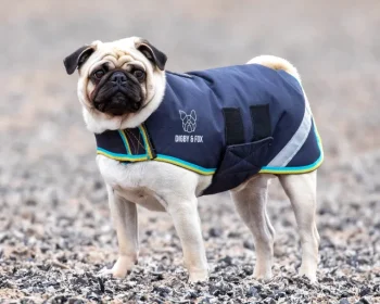 Best SHIRES EQUESTRIAN Shires Digby & Fox XXXXS-S Waterproof Dog Coat