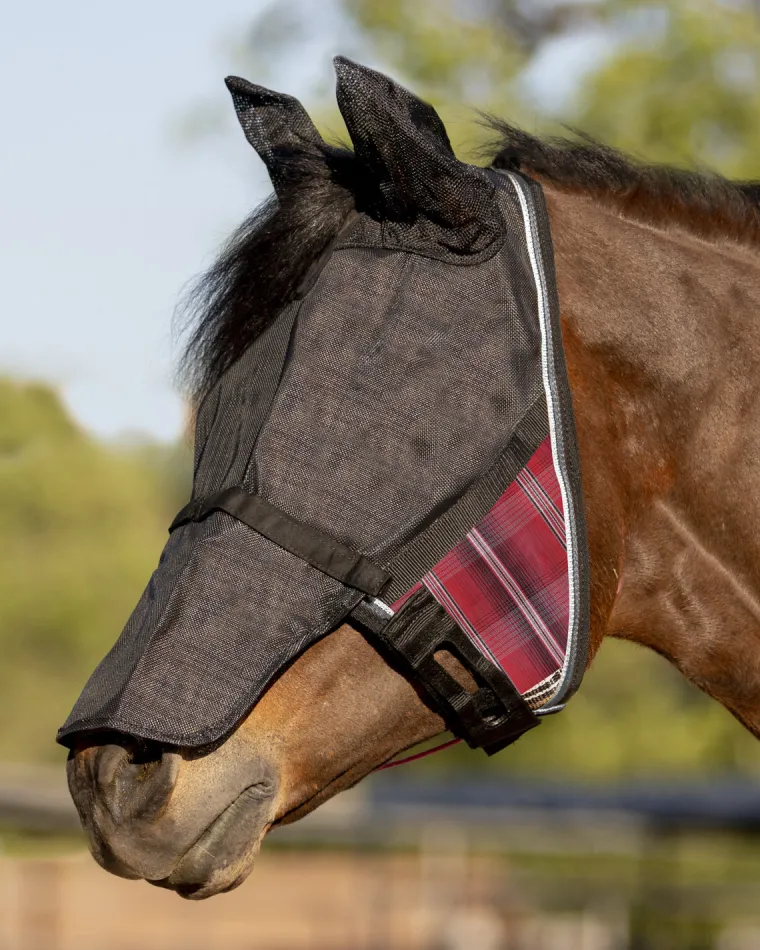 GzWinawr_6.webp Discount KENSINGTON ™ UViator CatchMask® with Ears, Removable Nose & Forelock Opening