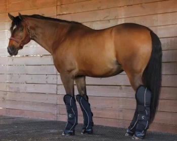 Sale KARTIKEYA INTL Rider’s International™ Shipping Boot Set Black