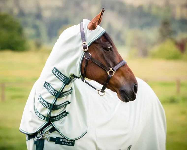 HxrRBSLw_2.webp Online HORSEWARE ® Ireland Rambo® Hoodie
