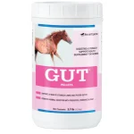 Outlet SMARTPAK GUT™ Pellets by SmartEquine™ - 2.7 lbs