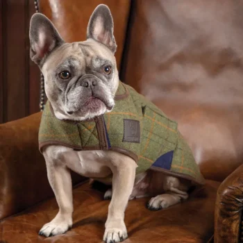 Sale SHIRES EQUESTRIAN Shires Digby & Fox Tweed Dog Coat