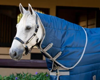 Discount HORSEWARE ® Ireland Amigo® Ripstop Insulator Stable Plus Blanket- 550G Navy/Titanium Grey