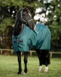 Outlet HORSEWARE ® Ireland Amigo® Ripstop 900D 50 Gram Standard Neck Turnout Dynasty Green/Navy/Silver