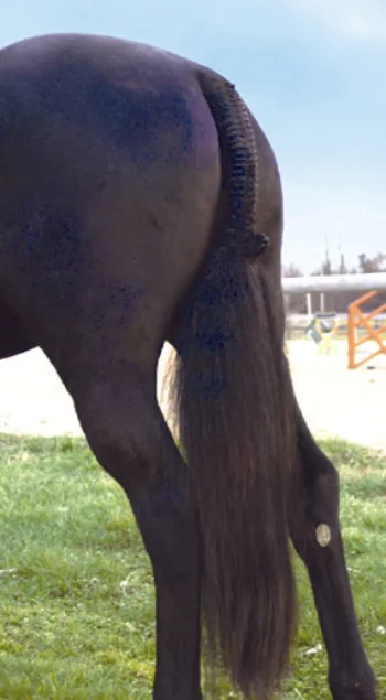 Clearance PROFESSIONALS CHOICE Tail Tamer® Hunter Trophy Tails™