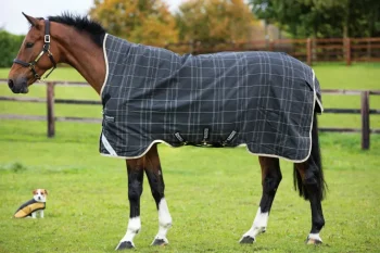 Sale HORSEWARE ® Ireland Rhino® Medium-Weight Wug with Vari-Layer®