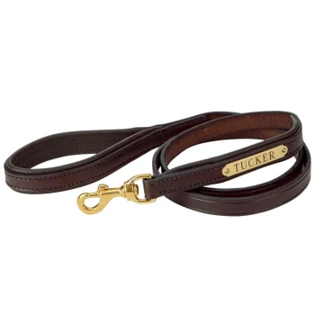 Outlet PERRIS LEATHER Perri’s® Padded Leather Nameplate Dog Leash