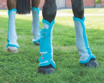 Outlet SHIRES EQUESTRIAN Shires ARMA Fly Turnout Socks