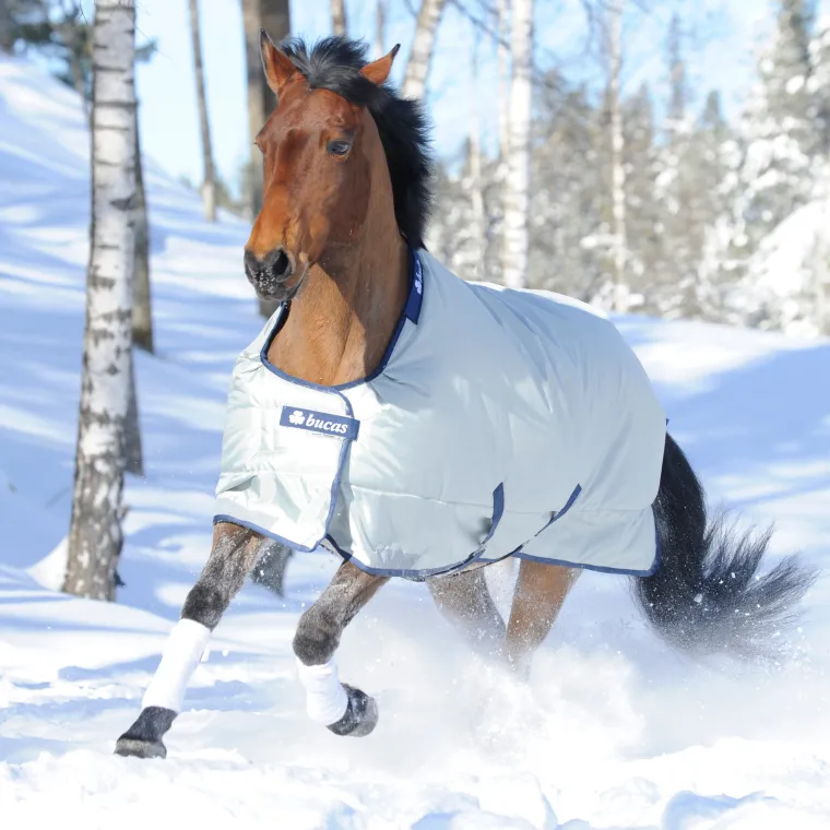 MLkprrTe_0.webp Discount TOKLAT ORIGINALS Bucas Power All-In-One Classic Heavyweight Turnout Blanket Silver