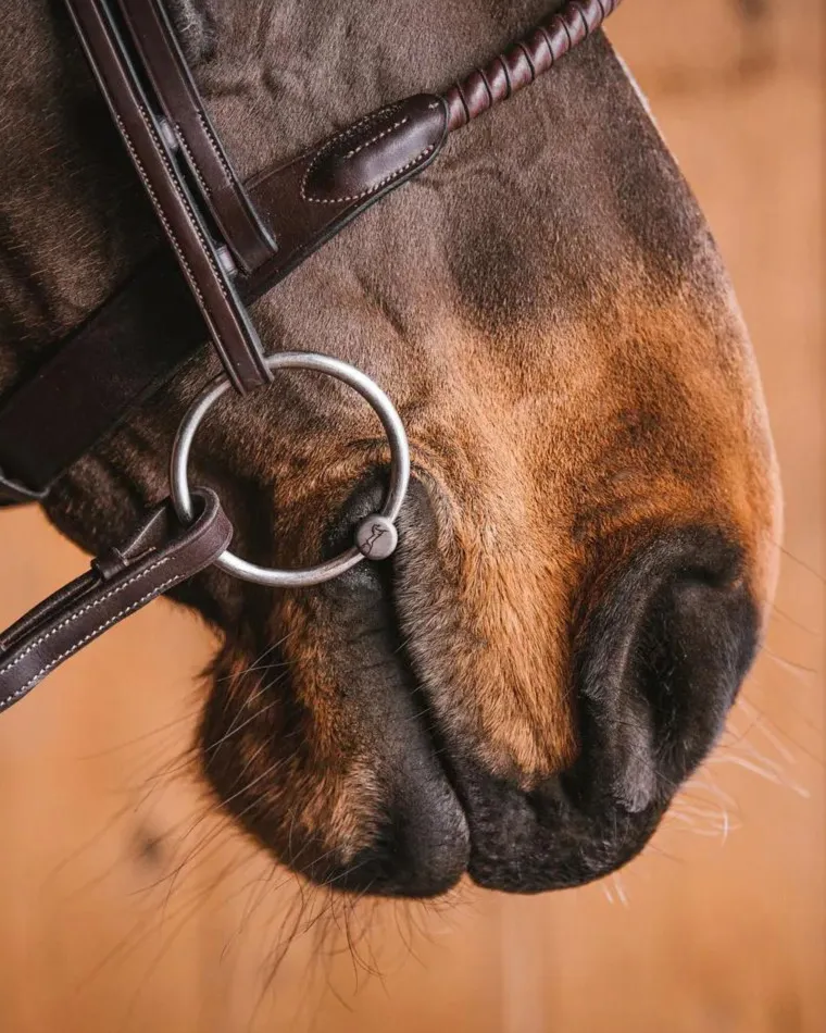 MYymrAsk_2.webp Clearance ELITE EQUESTRIAN SUP Fager Emil Titanium Loose Ring Bit, 16mm Mouth