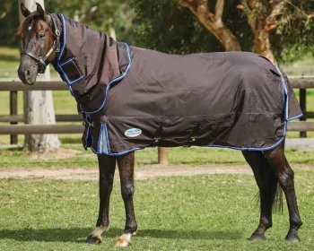 Online WEATHERBEETA ® ComFiTec™ Ultra Cozi II Detach-A-Neck Medium-Weight Turnout Blanket Charcoal/Blue/White