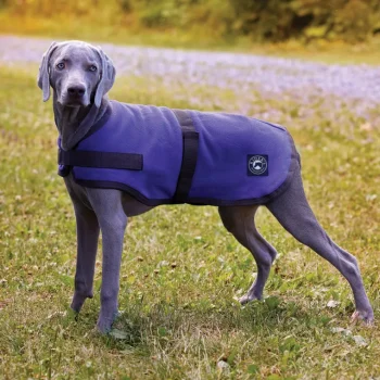 Sale CWEAR BRANCH Rider’s International™ Fleece Dog Cooler