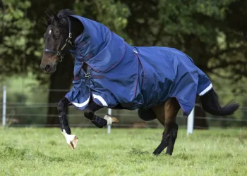 Online HORSEWARE ® Ireland Rambo® Optimo Turnout Blanket