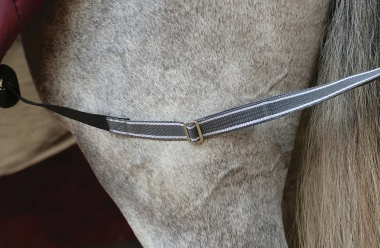 NMHBxIUV_3.webp Sale WEATHERBEETA ® ComFiTec™ Plus Dynamic II Standard Neck Lite Turnout Maroon/Grey/White