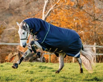 Best HORSEWARE ® Ireland Rambo® Duo Force 2.0 Turnout Blanket Navy/Teal