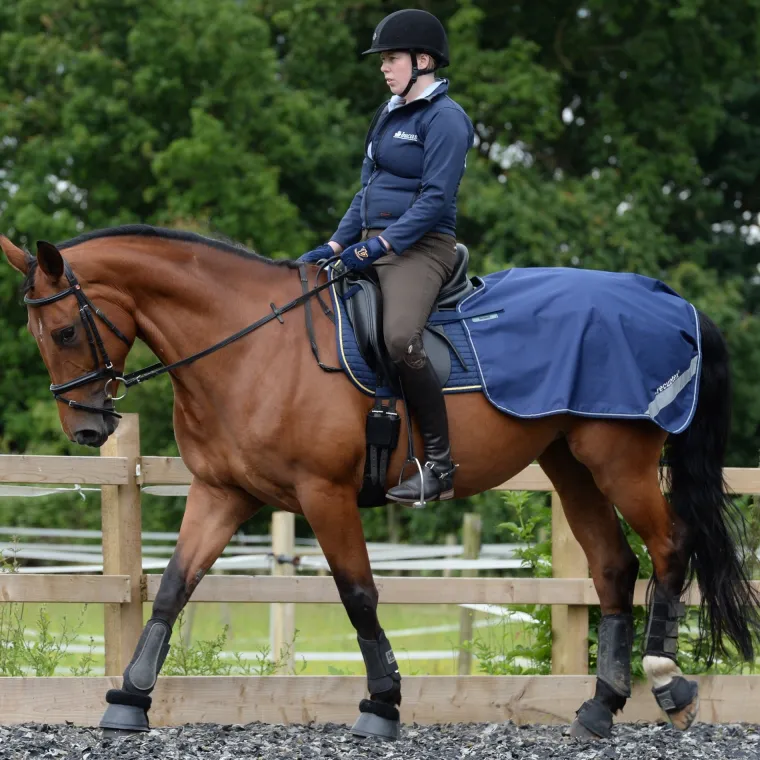 NkjsQdKD_1.webp New TOKLAT ORIGINALS Bucas Therapy Quarter Sheet Navy