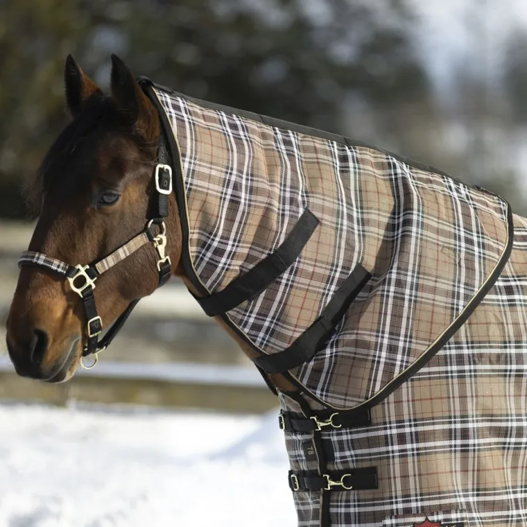 NobbLaxm_1.webp Online KENSINGTON ™ SuperMesh 300 Gram Heavyweight Neck Warmer