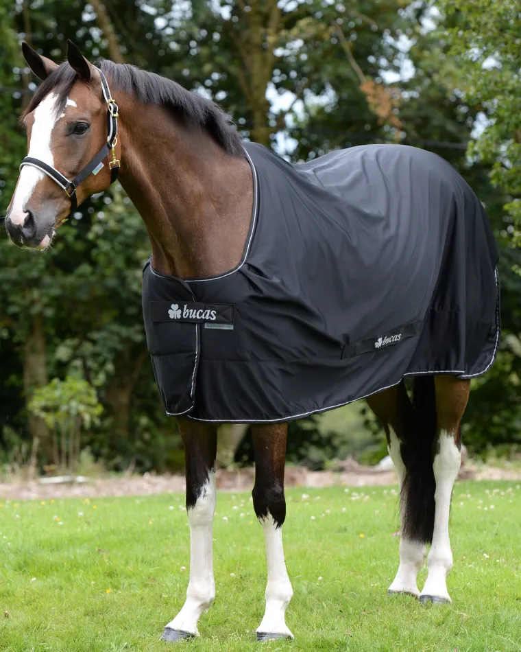 NvNiODSP_1.webp Fashion TOKLAT ORIGINALS Bucas Power Classic Cooler