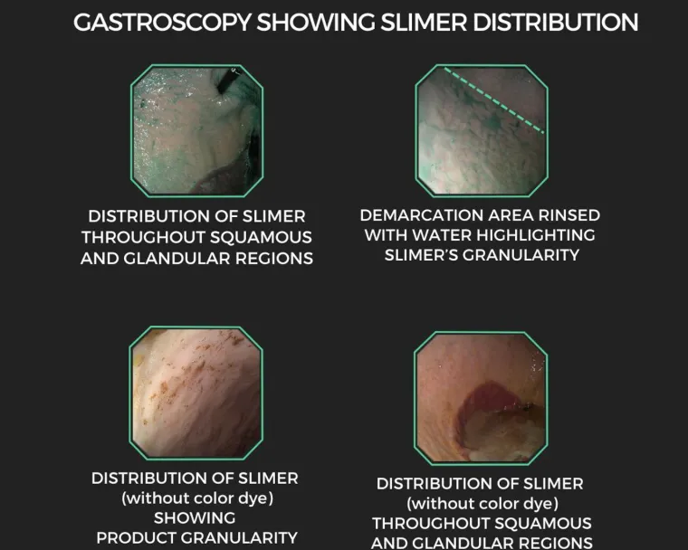 OCKBrvFR_1.webp Discount EQUINE ELIXIRS INC Equine Elixirs Slimer Liquid Gastric Support