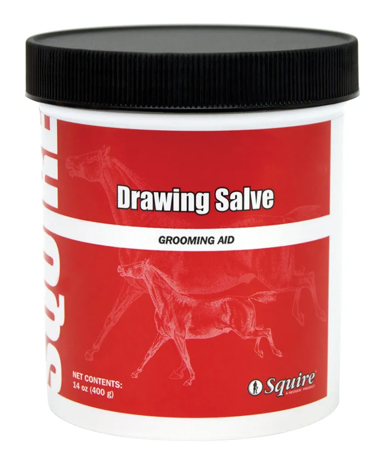 OIBFuHtg_0.webp Clearance ANIMAL HEALTH INT Ichthammol Drawing Salve