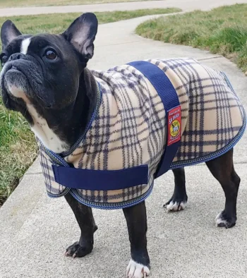 Best JACKS MFG 5/A Baker® Fleece Dog Blanket Plaid