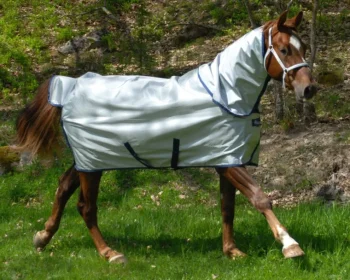 Best TOKLAT ORIGINALS Bucas Power Classic Lightweight Turnout Blanket Silver