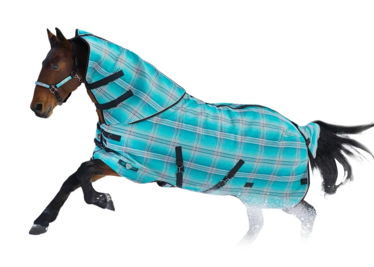 PukylzXM_1.webp Online KENSINGTON ™ SuperMesh 180 Gram Medium-Weight Turnout Blanket