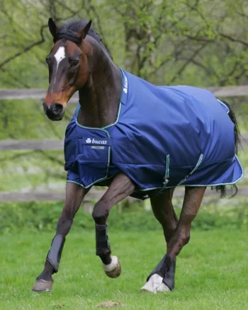 Fashion TOKLAT ORIGINALS Bucas Smartex Rain/Turnout Sheet Navy