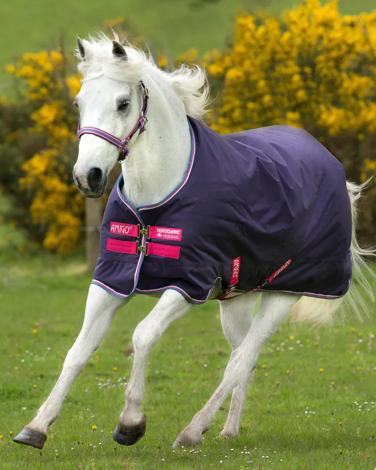 QSxahIEL_0.webp Hot HORSEWARE ® Ireland Amigo® Pony Hero 900D Medium-Weight Turnout Blanket