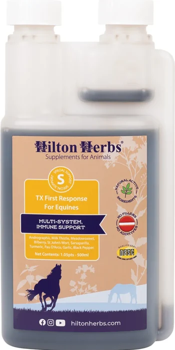 Clearance RJ MATTHEWS Hilton Herbs® TX First Response Multi-System Immune Support
