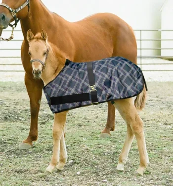 Discount KENSINGTON ™ Signature Adjustable Large Foal Turnout